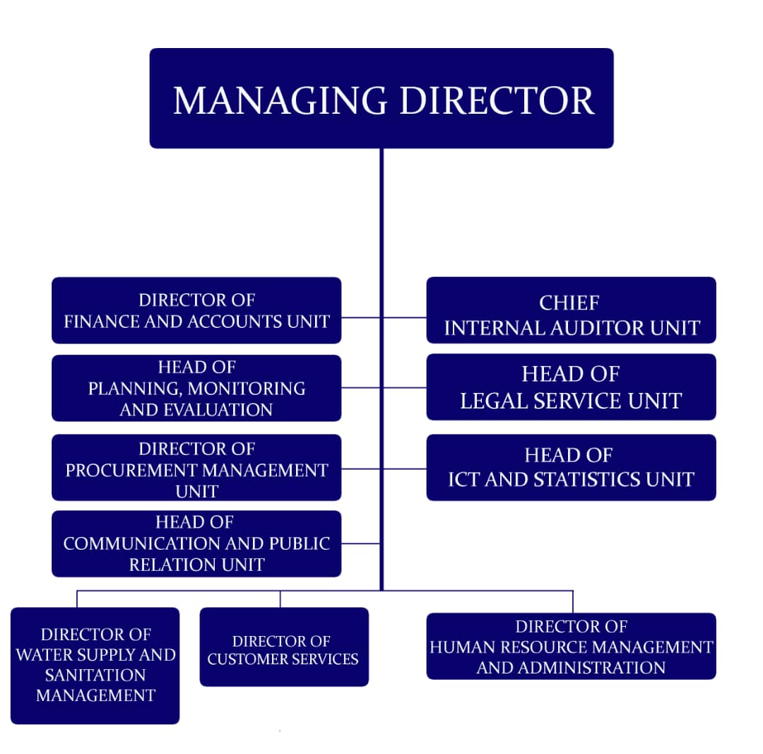 Organization Structure