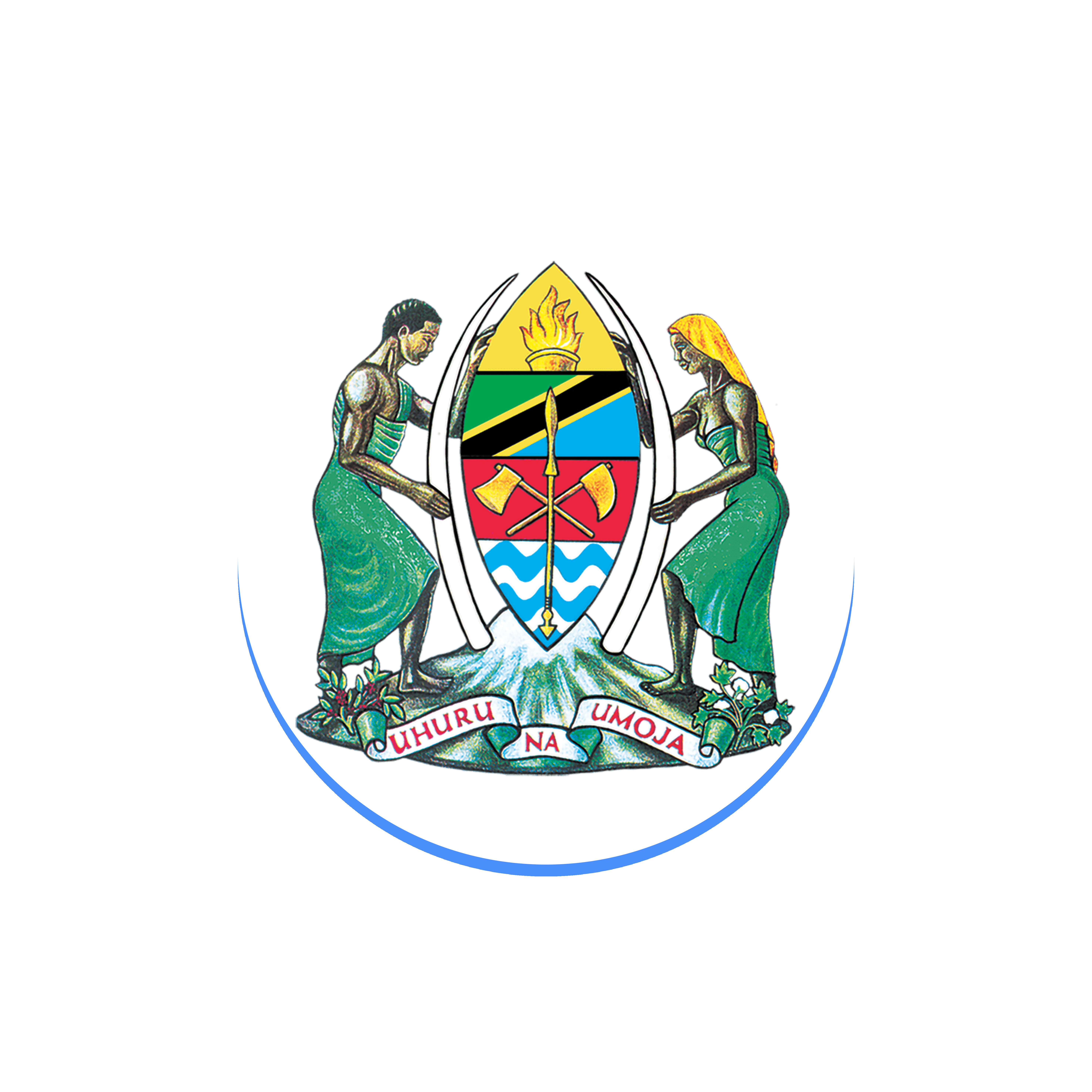 Tanzania logo