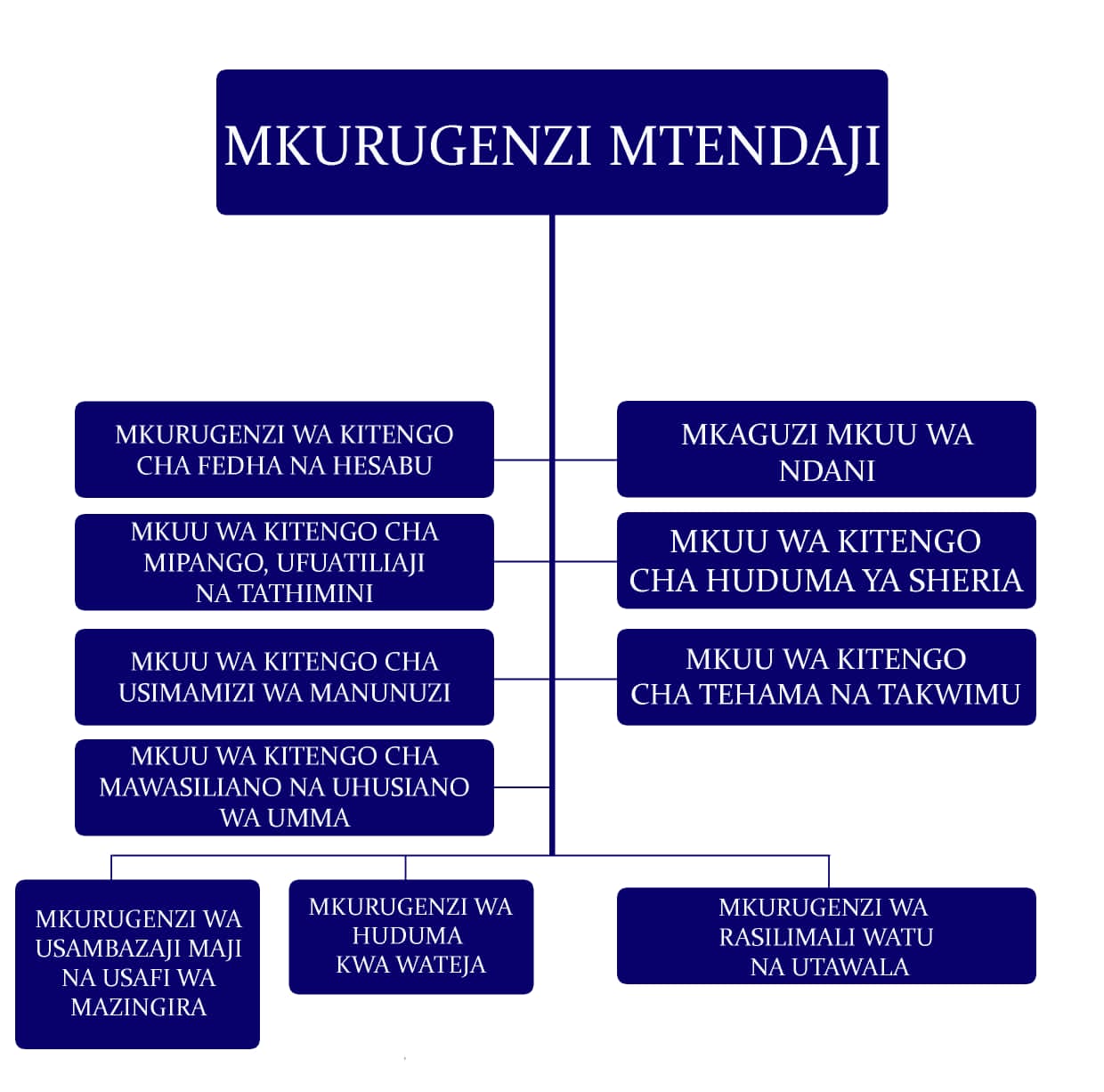 Organization Structure