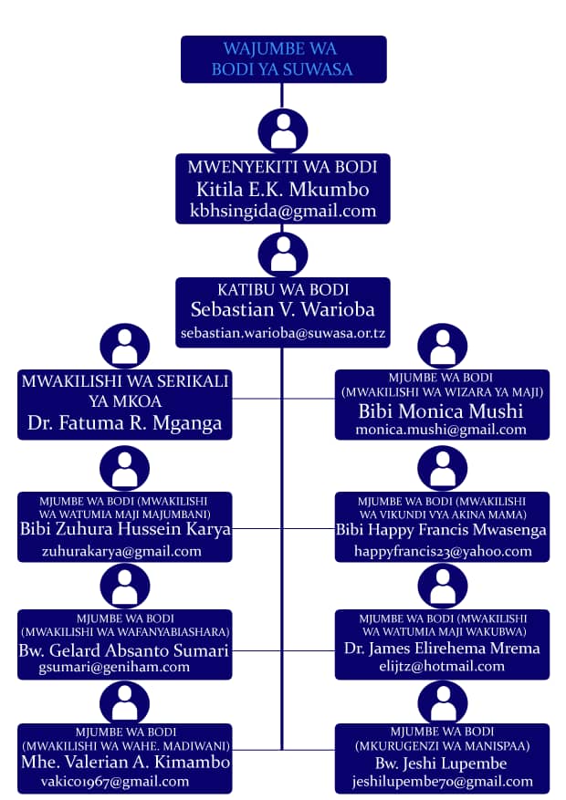 Organization Structure